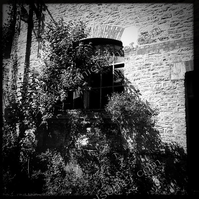 Site Simon Freres