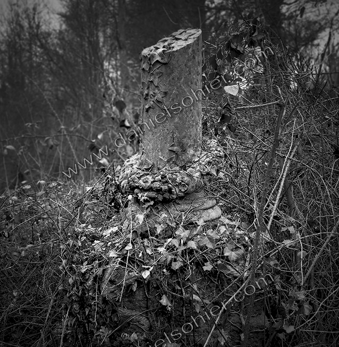 Création Noir&Blanc