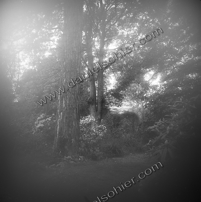 LE PARC - JARDIN FAVIER - Cherbourg en Cotentin - Manche - France 1986 - Hasselblad 6x6 argentique Photographie N° JF 06 LE PARC - JARDIN FAVIER - Cherbourg en Cotentin - Manche - France 1986 - Hasselblad 6x6 argentique Photographie N° JF 06