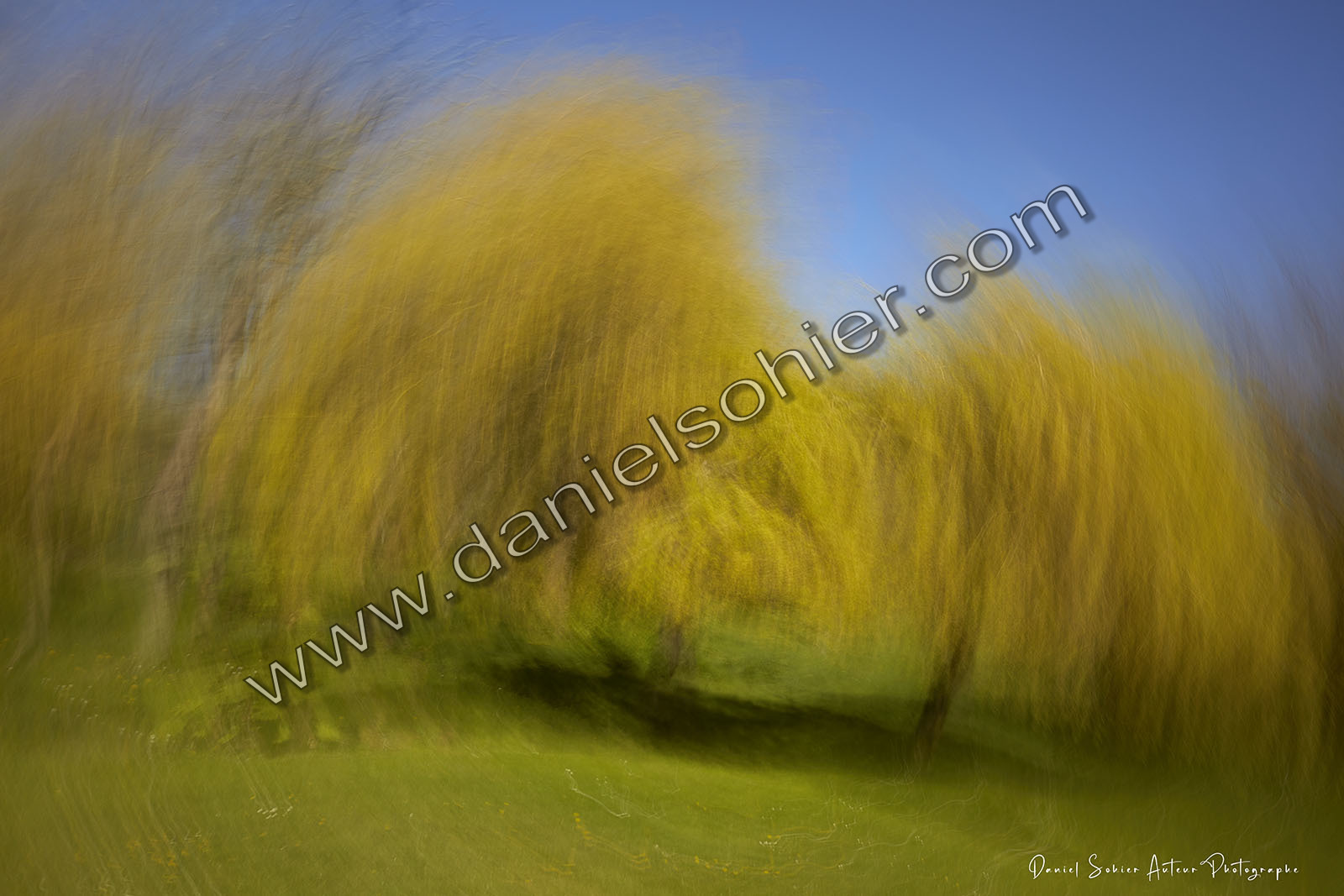 ICM Paysage