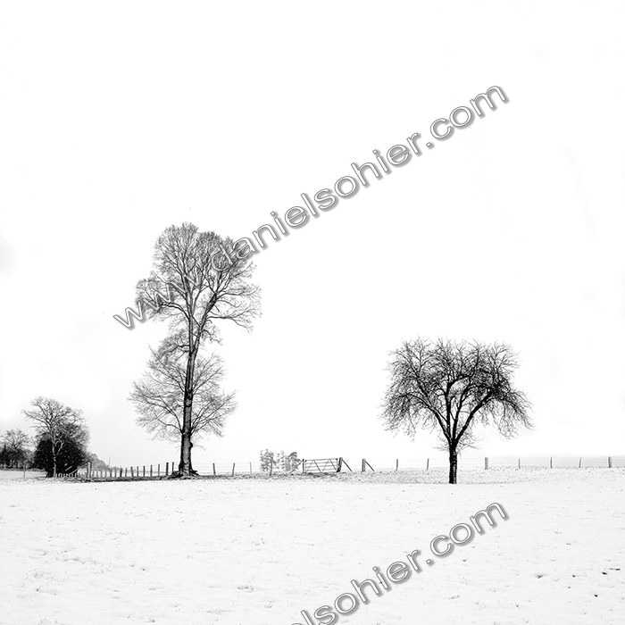 NOIR & BLANC
