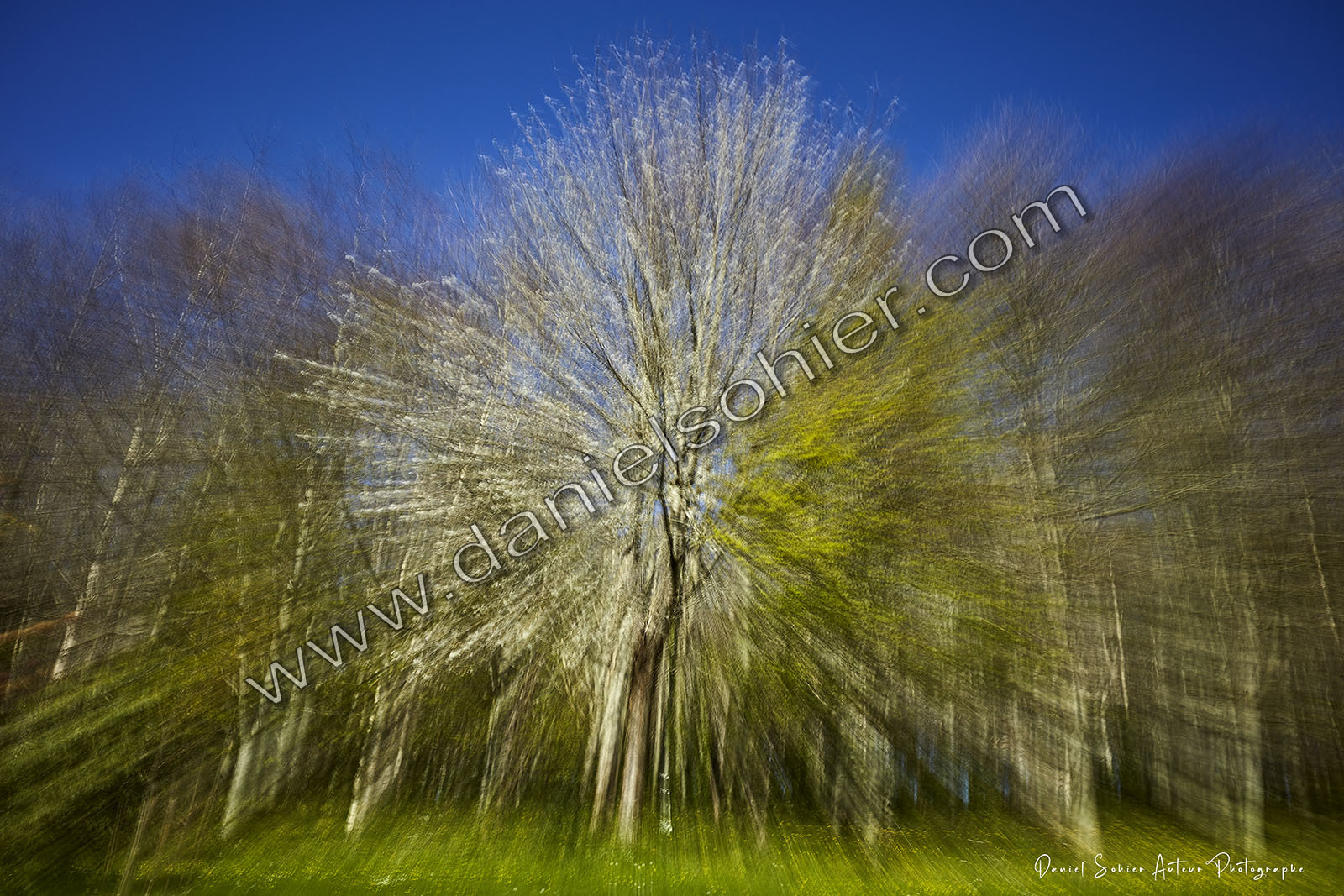 ICM Paysage