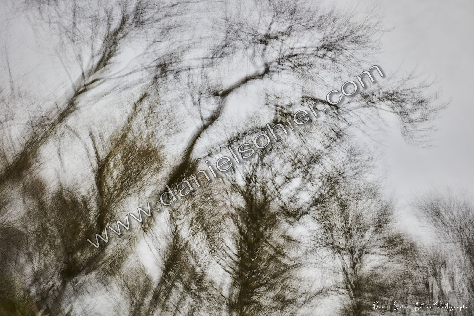 ICM Paysage