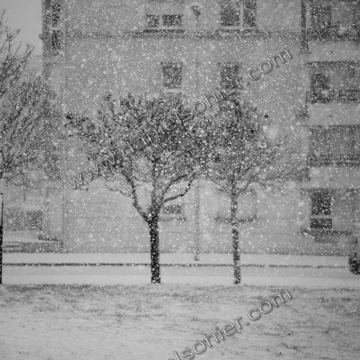 NOIR & BLANC