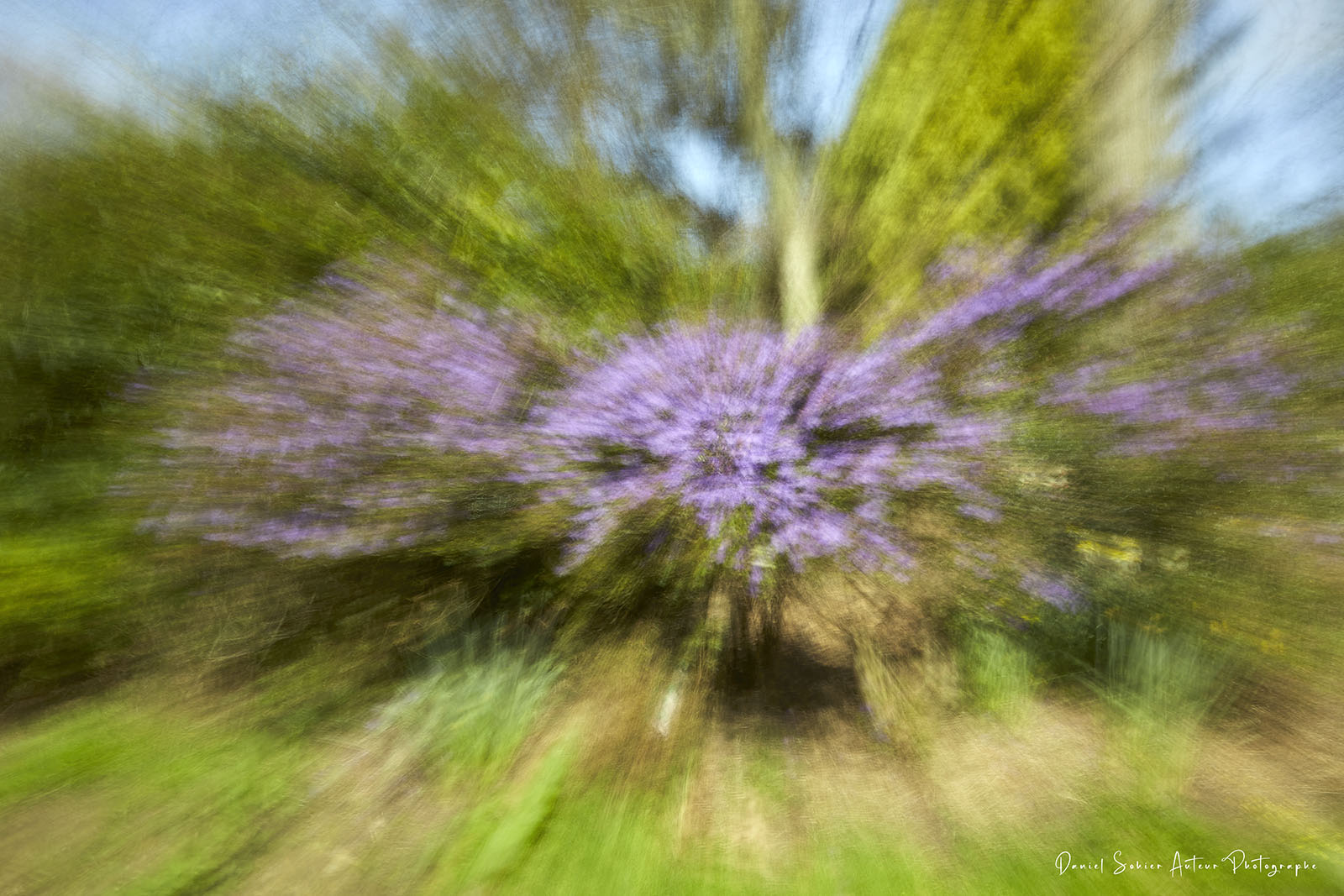 ICM Nature