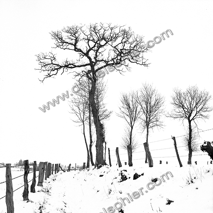 NOIR & BLANC