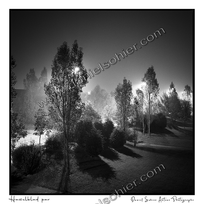 Création photographique noir et blanc argentique
