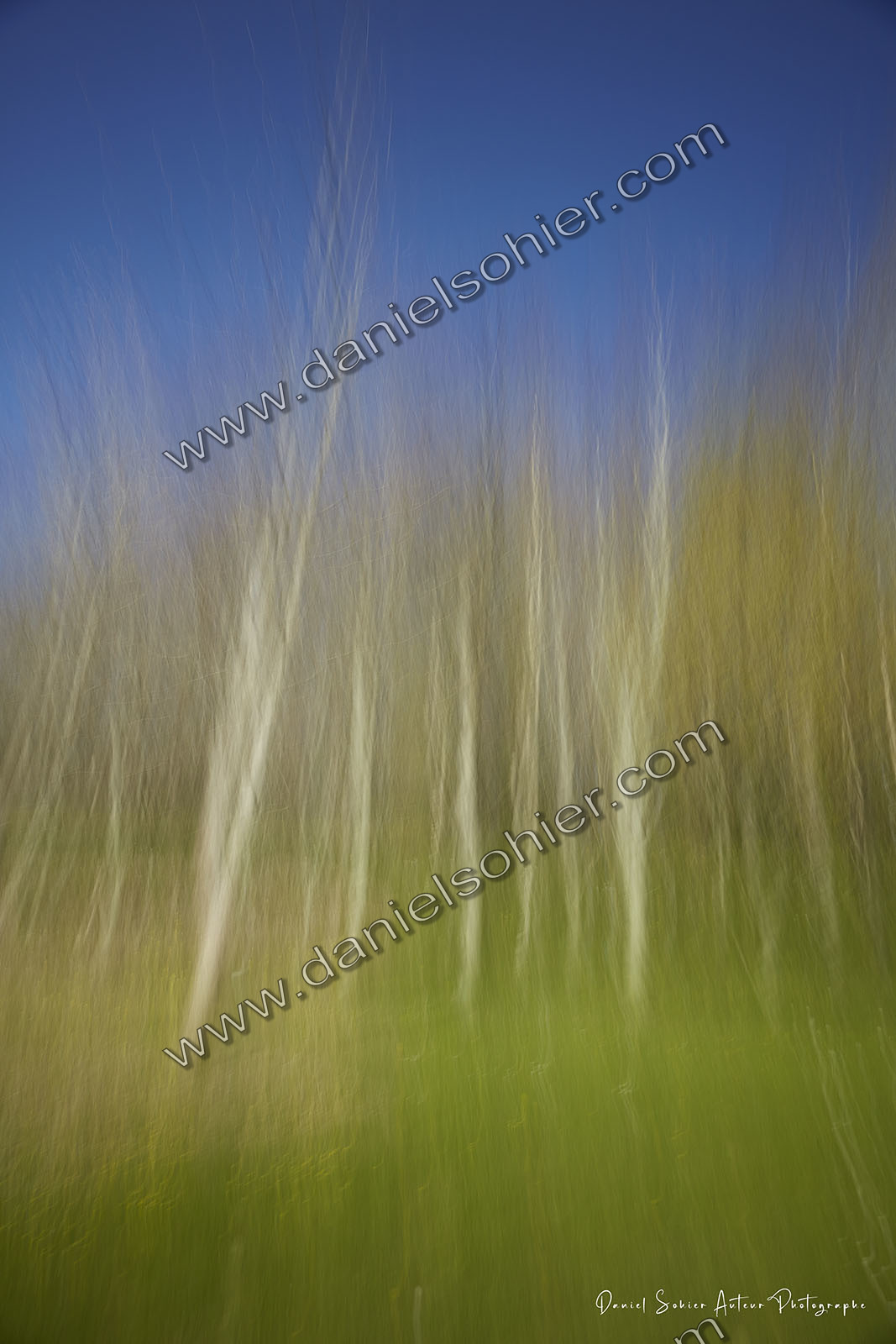 ICM Paysage