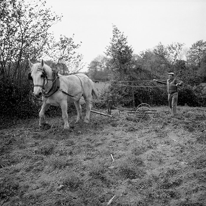 Le champ derrière la ferme