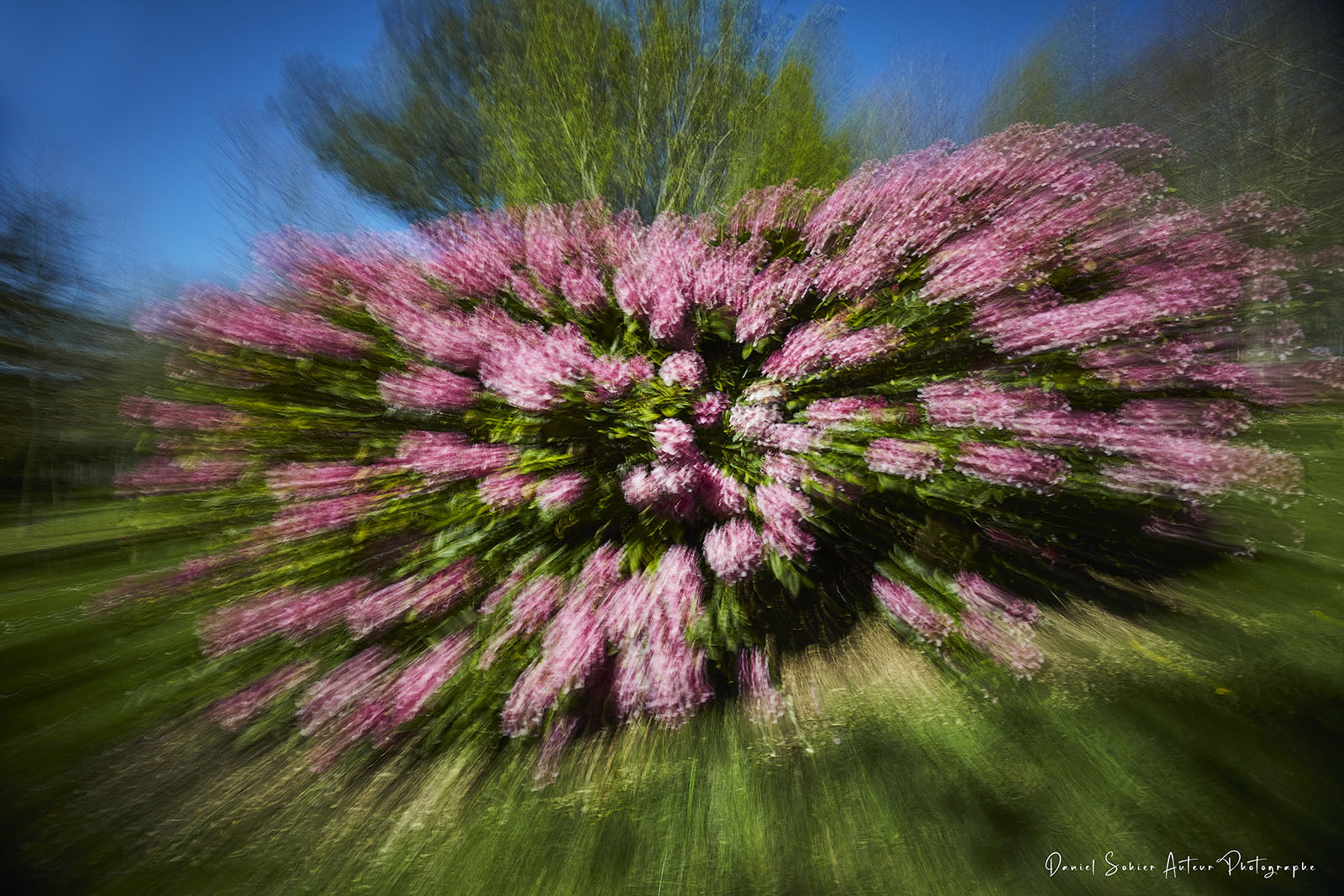 ICM Nature